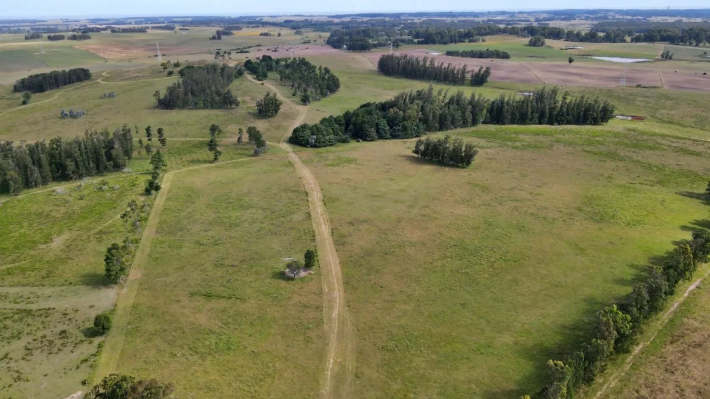 VENTA 100 HECTAREAS EN ZONA ALEDAÑA A RUTA 104 MANANTIALES — foto 14