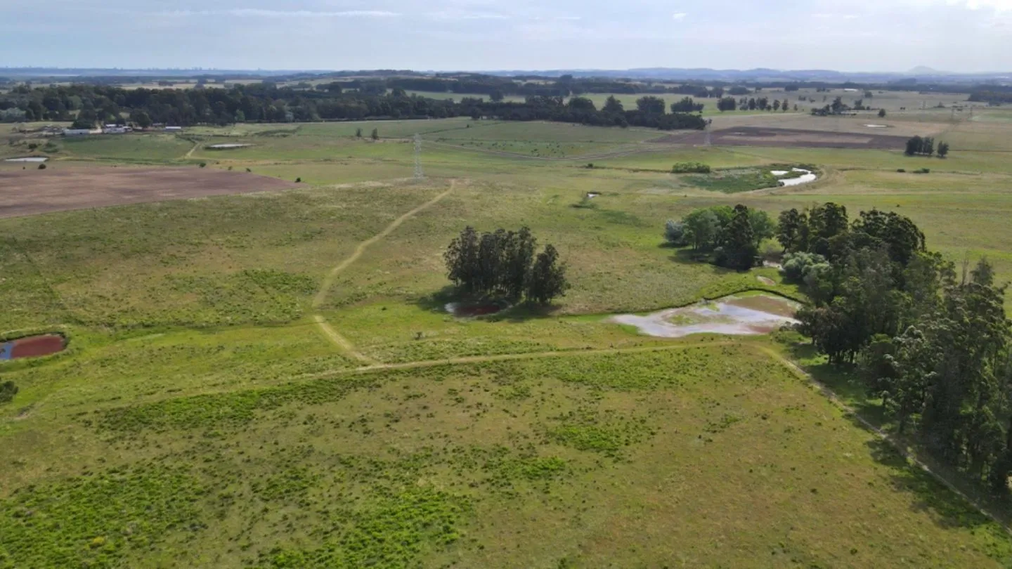 VENTA 100 HECTAREAS EN ZONA ALEDAÑA A RUTA 104 MANANTIALES — foto 15