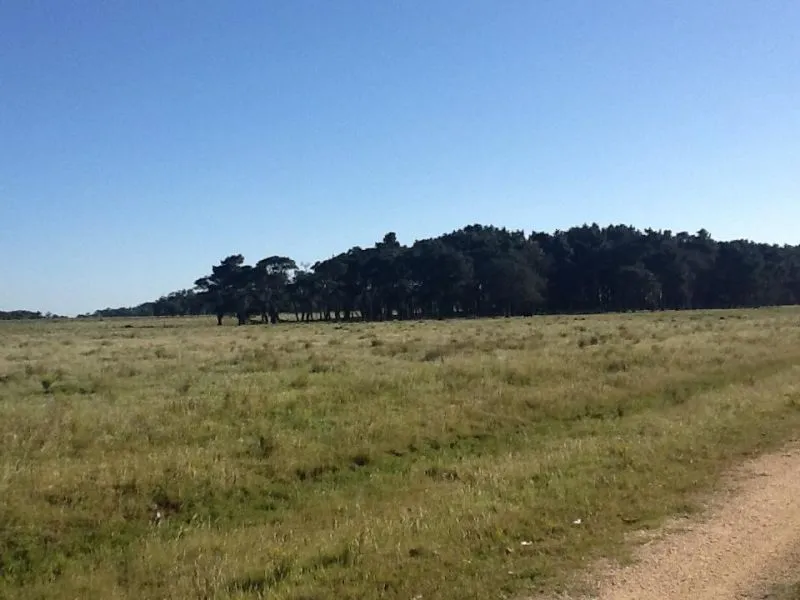 chacra en venta en Jose Ignacio 5has — foto 3
