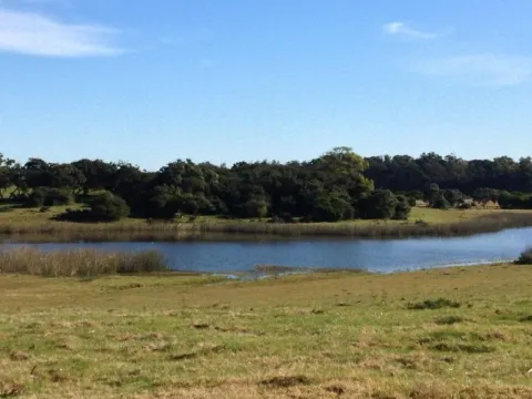 Chacra / Campo 5,7 ha en Maldonado — foto 3