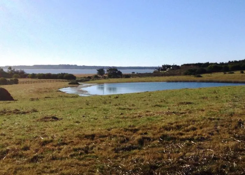Chacra / Campo 5,7 ha en Maldonado — foto 4