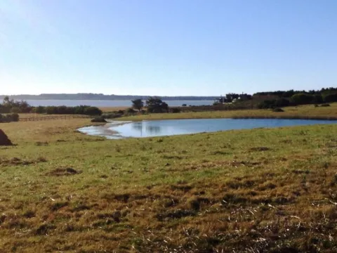 Chacra / Campo 5,7 ha en Maldonado — foto 4