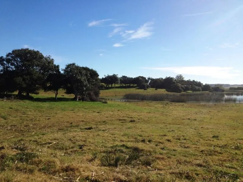 Chacra / Campo 5,7 ha en Maldonado — foto 5