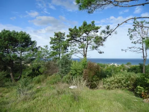 Venta lote con vista  -Punta Ballena — foto 2