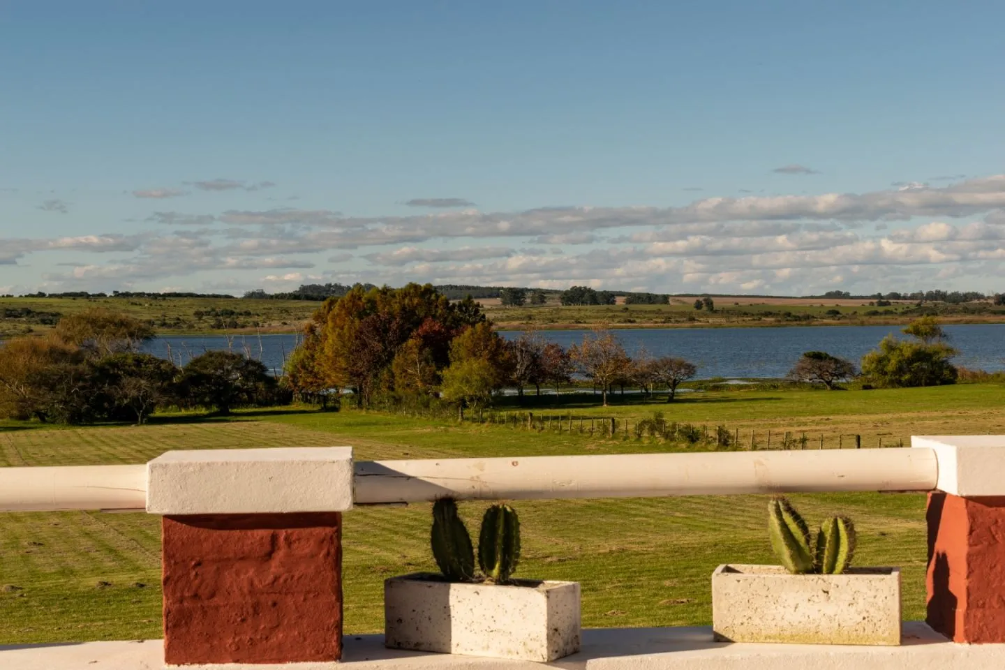 Venta chacra con costa a Laguna del Sauce — foto 14