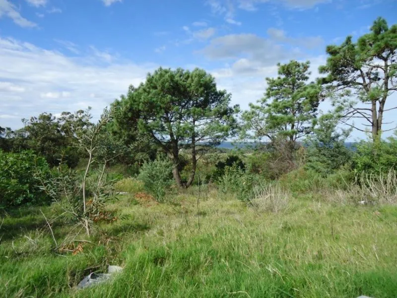 Venta lote con vista  -Punta Ballena — foto 4