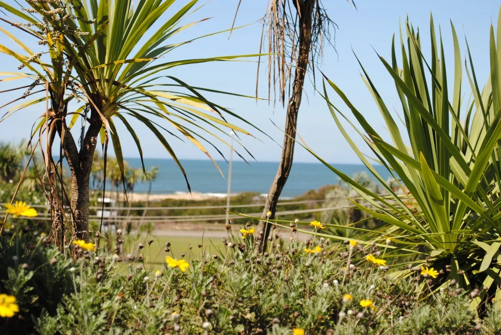Casa de 4 dormitorios en alquiler temporada- Playa Brava — foto 17