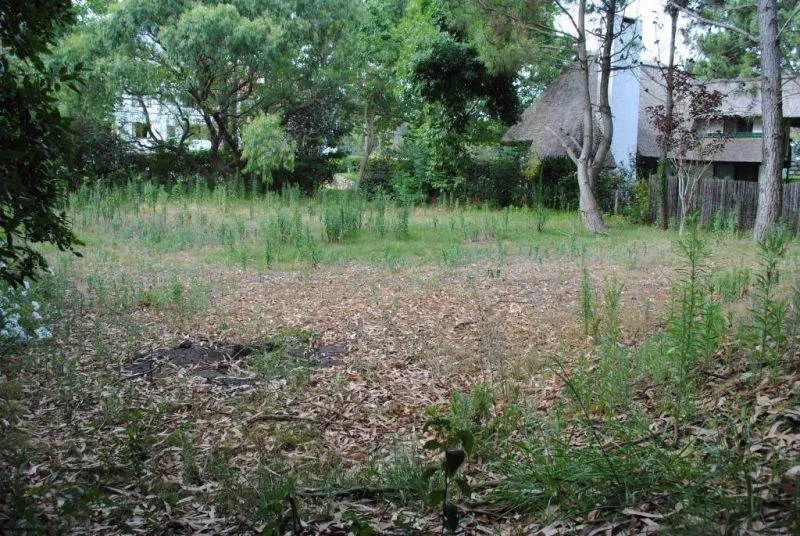 Venta de lote a 2 cuadras del Mar - Rincón el Indio — foto 1