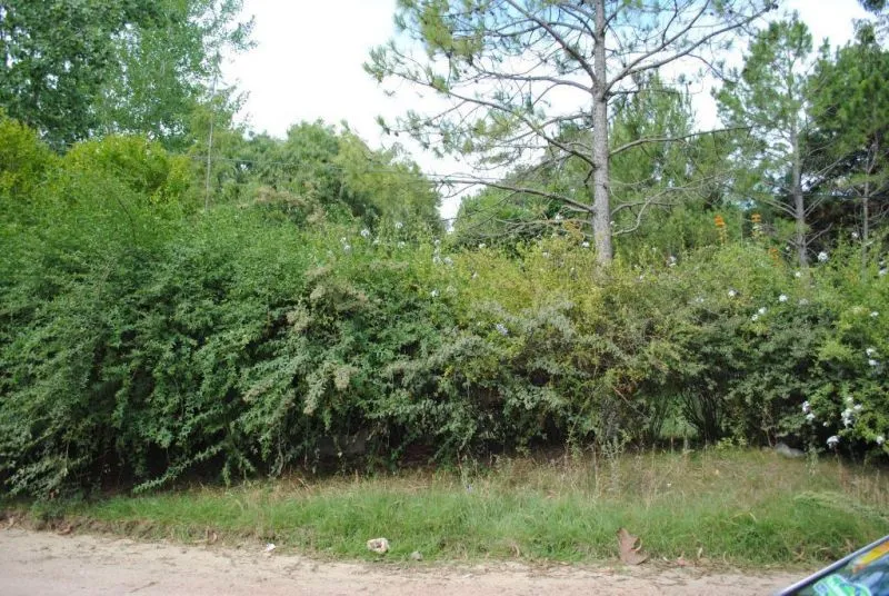 Venta de lote a 2 cuadras del Mar - Rincón el Indio — foto 2