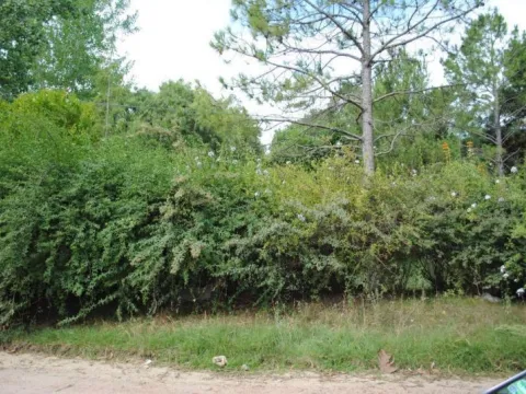 Venta de lote a 2 cuadras del Mar - Rincón el Indio — foto 2