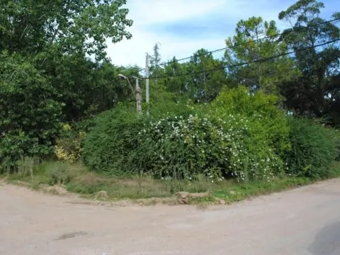 Venta de lote a 2 cuadras del Mar - Rincón el Indio — foto 3