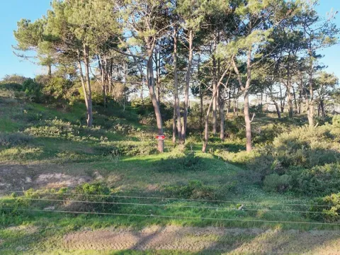 Venta lote  - Rincón del Indio