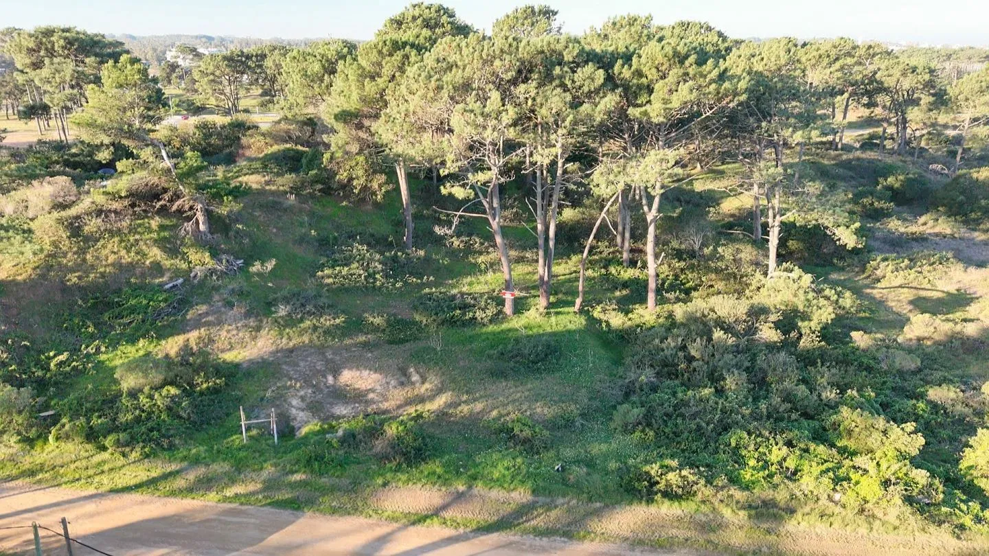 Venta lote  - Rincón del Indio — foto 2