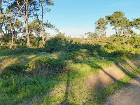 Venta lote  - Rincón del Indio — foto 5