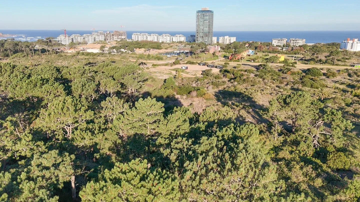 Venta lote  - Rincón del Indio — foto 6