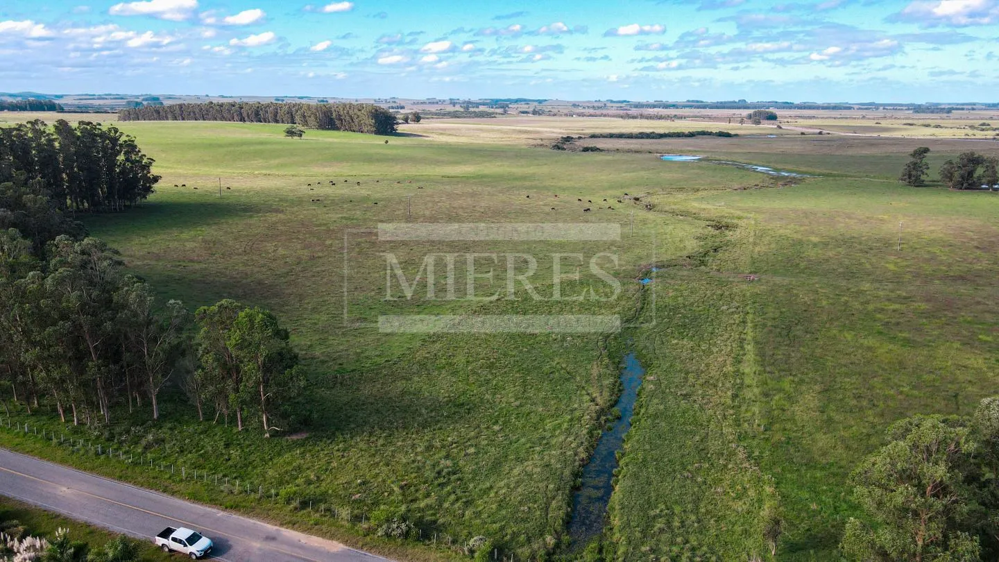 Chacra / Campo 80 ha en Maldonado — foto 1