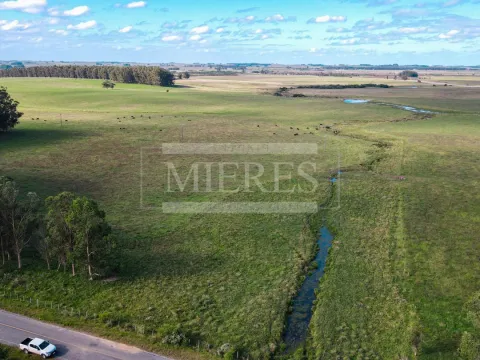 Chacra / Campo 80 ha en Maldonado