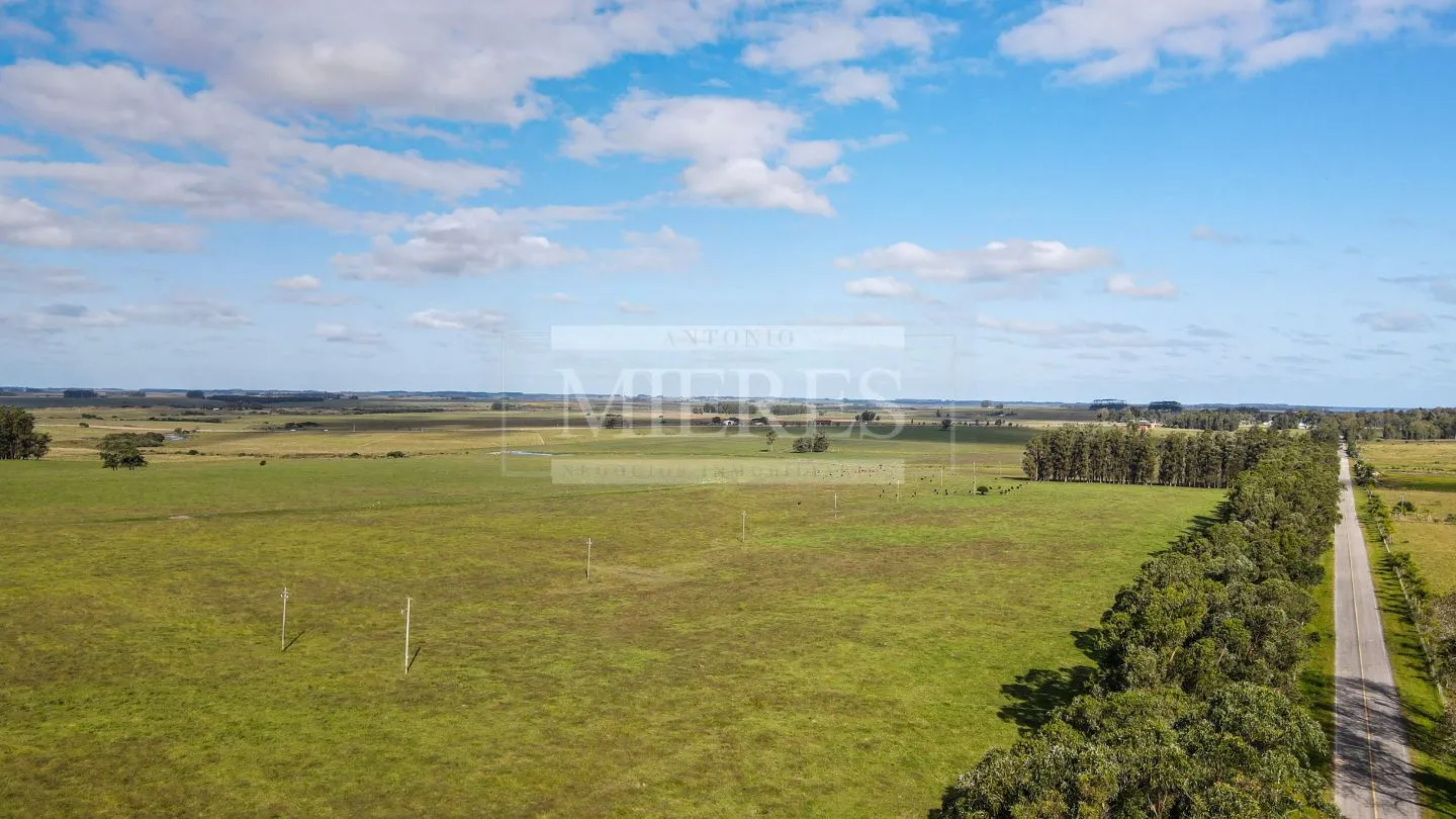 Chacra / Campo 80 ha en Maldonado — foto 2
