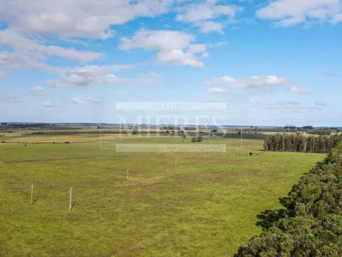 Chacra / Campo 80 ha en Maldonado — foto 2