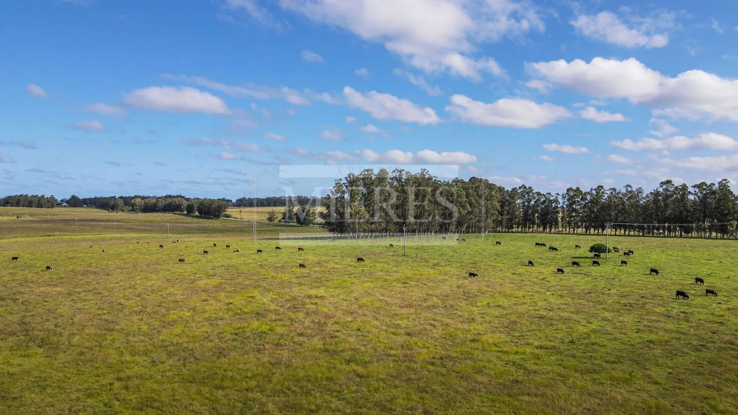 Chacra / Campo 80 ha en Maldonado — foto 3