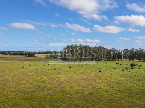 Chacra / Campo 80 ha en Maldonado — foto 3