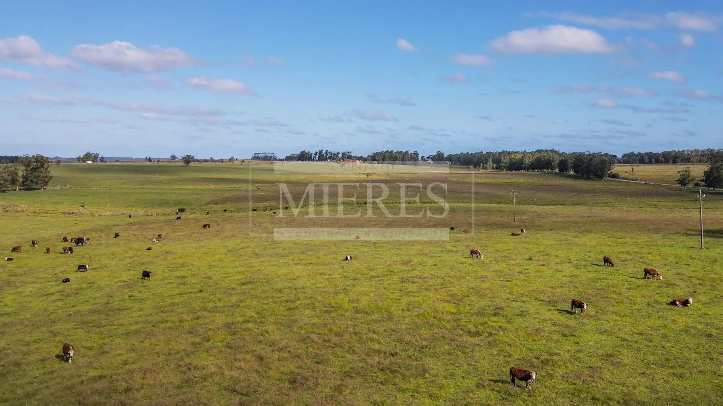 Chacra / Campo 80 ha en Maldonado — foto 4
