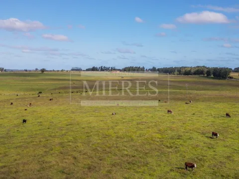 Chacra / Campo 80 ha en Maldonado — foto 4