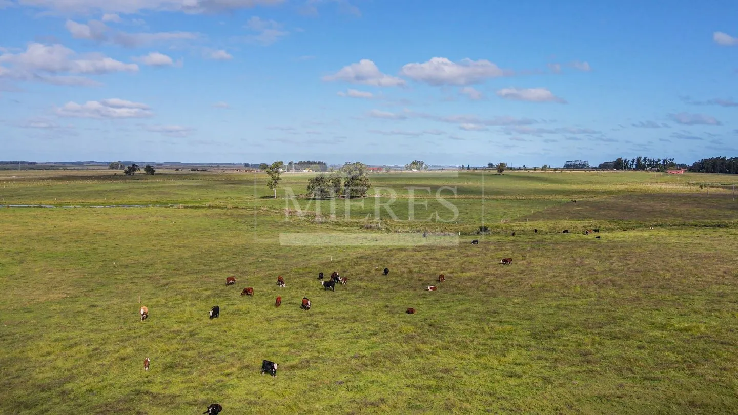 Chacra / Campo 80 ha en Maldonado — foto 5
