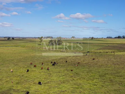Chacra / Campo 80 ha en Maldonado — foto 5