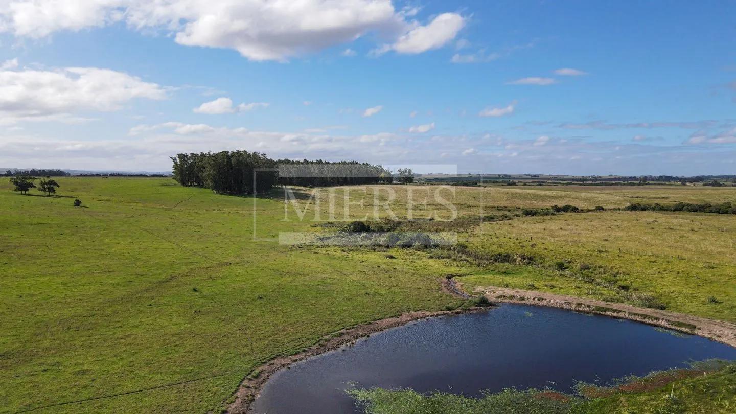 Chacra / Campo 80 ha en Maldonado — foto 6
