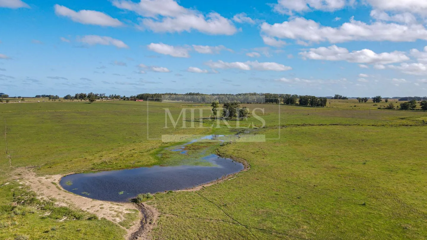 Chacra / Campo 80 ha en Maldonado — foto 7