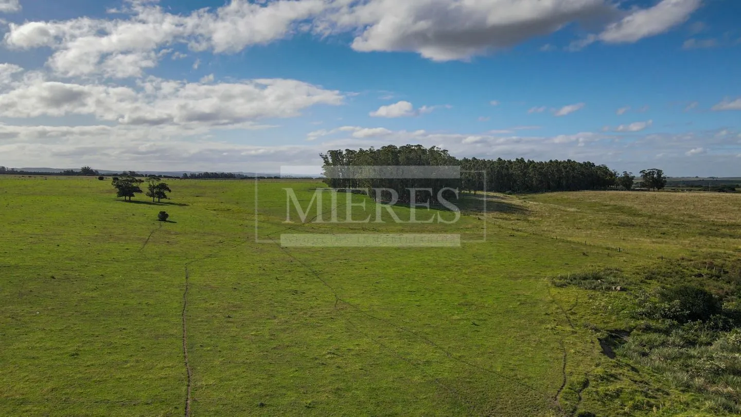 Chacra / Campo 80 ha en Maldonado — foto 8