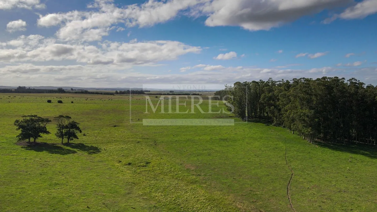 Chacra / Campo 80 ha en Maldonado — foto 9