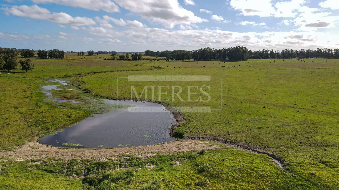 Chacra / Campo 80 ha en Maldonado — foto 10