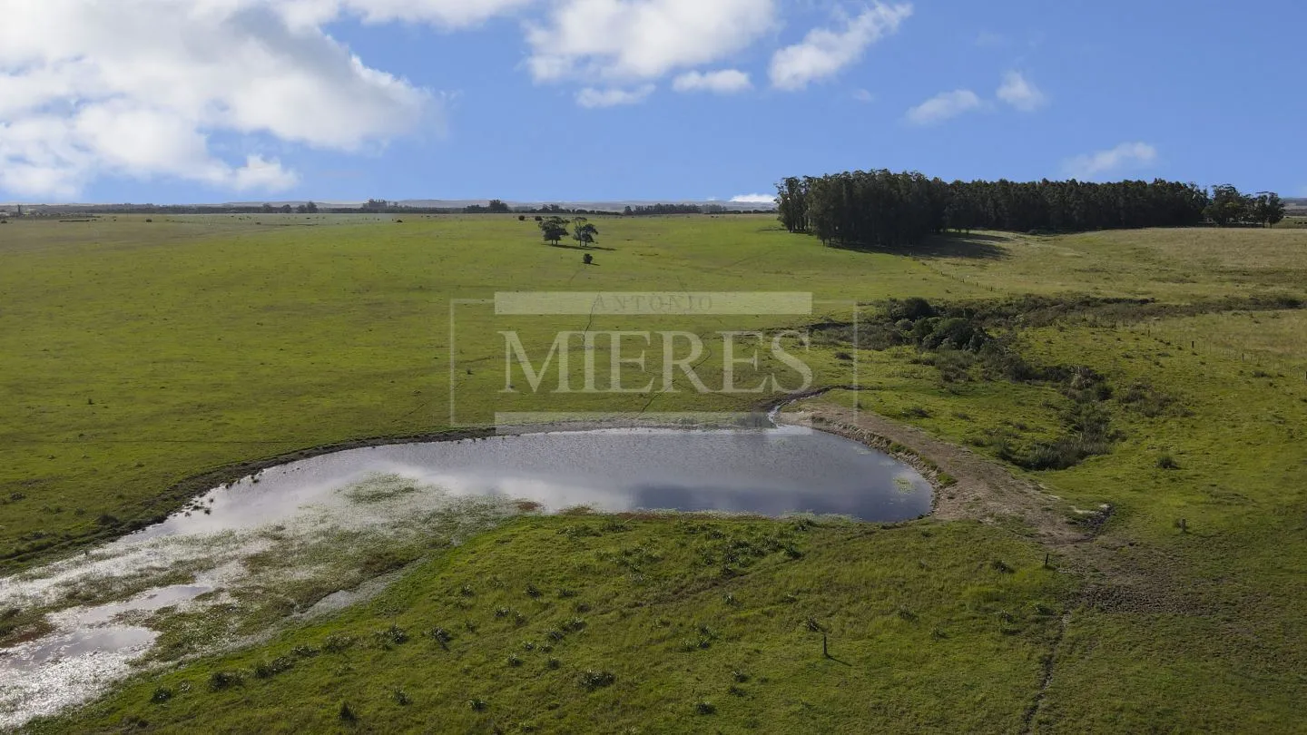 Chacra / Campo 80 ha en Maldonado — foto 11
