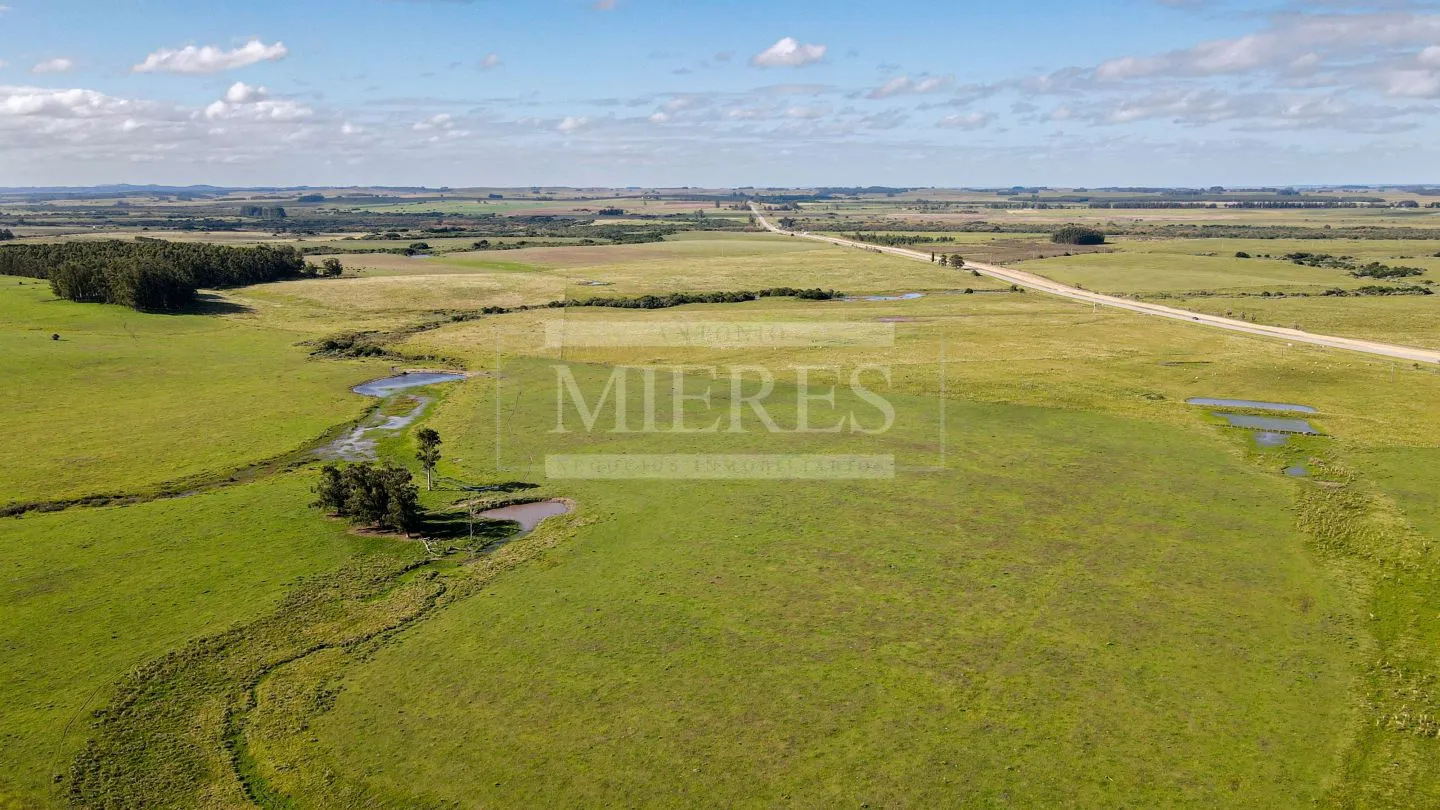 Chacra / Campo 80 ha en Maldonado — foto 12