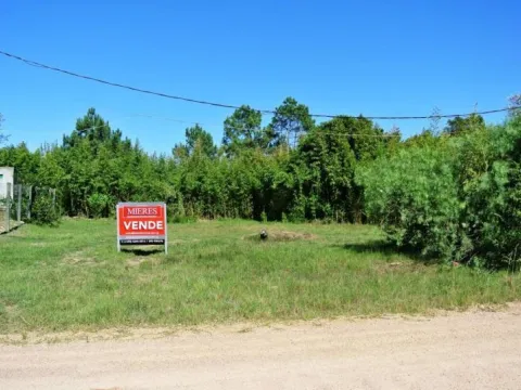 Venta lote Tío Tom- Punta Ballena