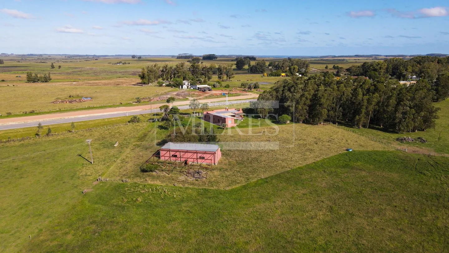 Chacra / Campo 80 ha en Maldonado — foto 13