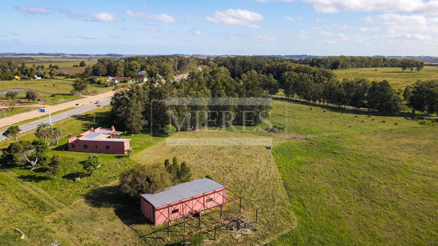 Chacra / Campo 80 ha en Maldonado — foto 14