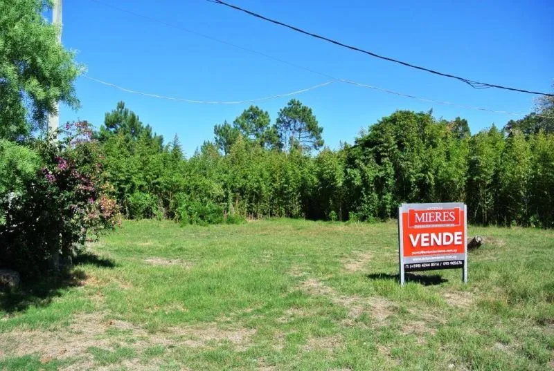 Venta lote Tío Tom- Punta Ballena — foto 3