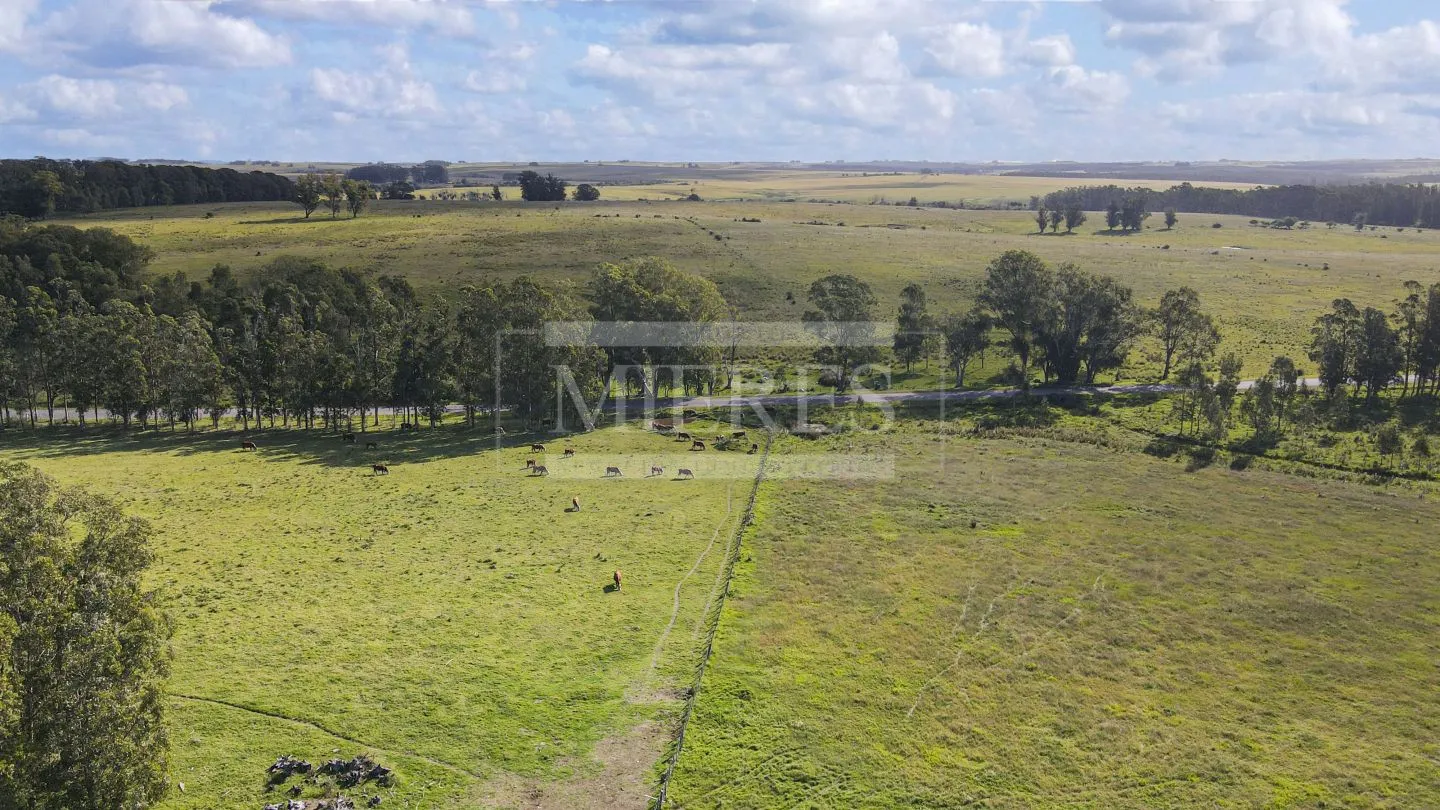 Chacra / Campo 80 ha en Maldonado — foto 15