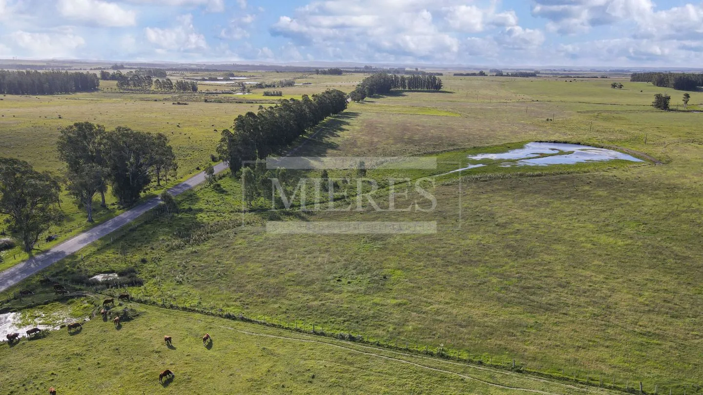 Chacra / Campo 80 ha en Maldonado — foto 16