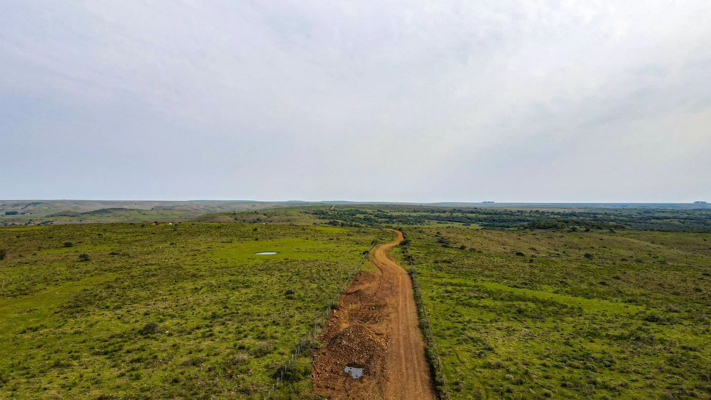 Chacra / Campo 4.037 ha en Tacuarembó — foto 1