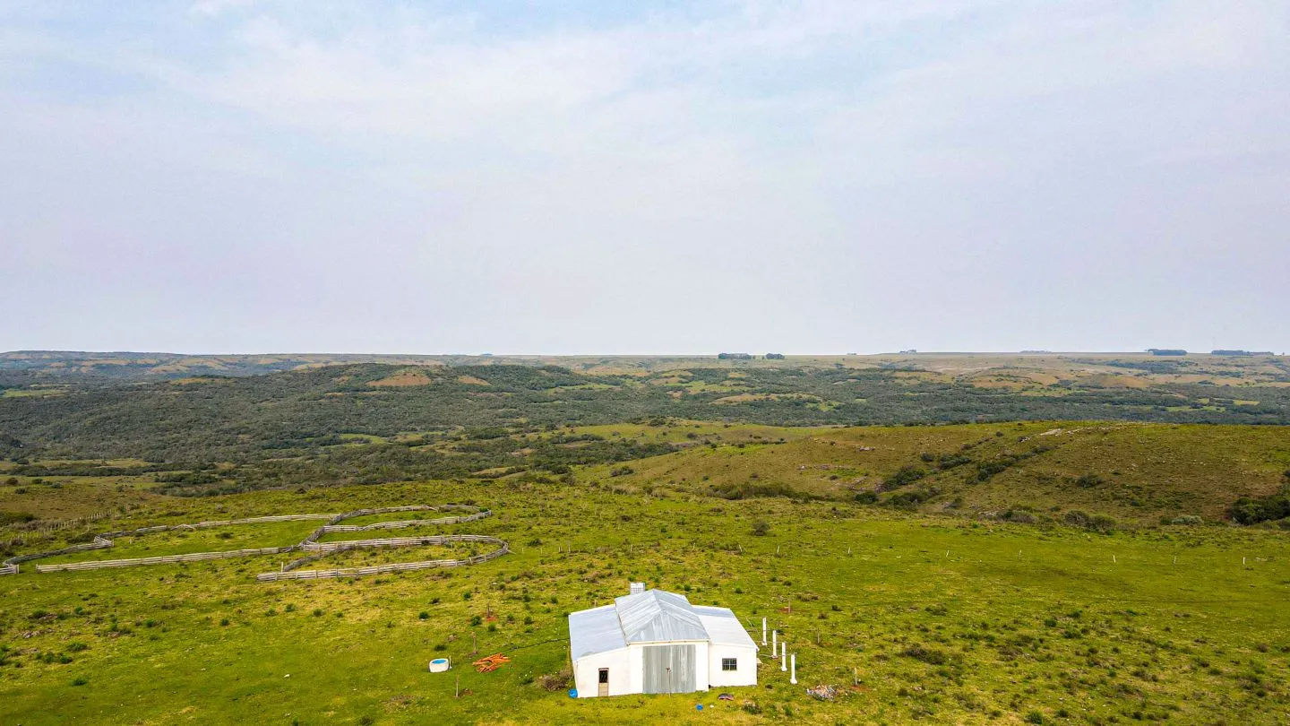 Chacra / Campo 4.037 ha en Tacuarembó — foto 2