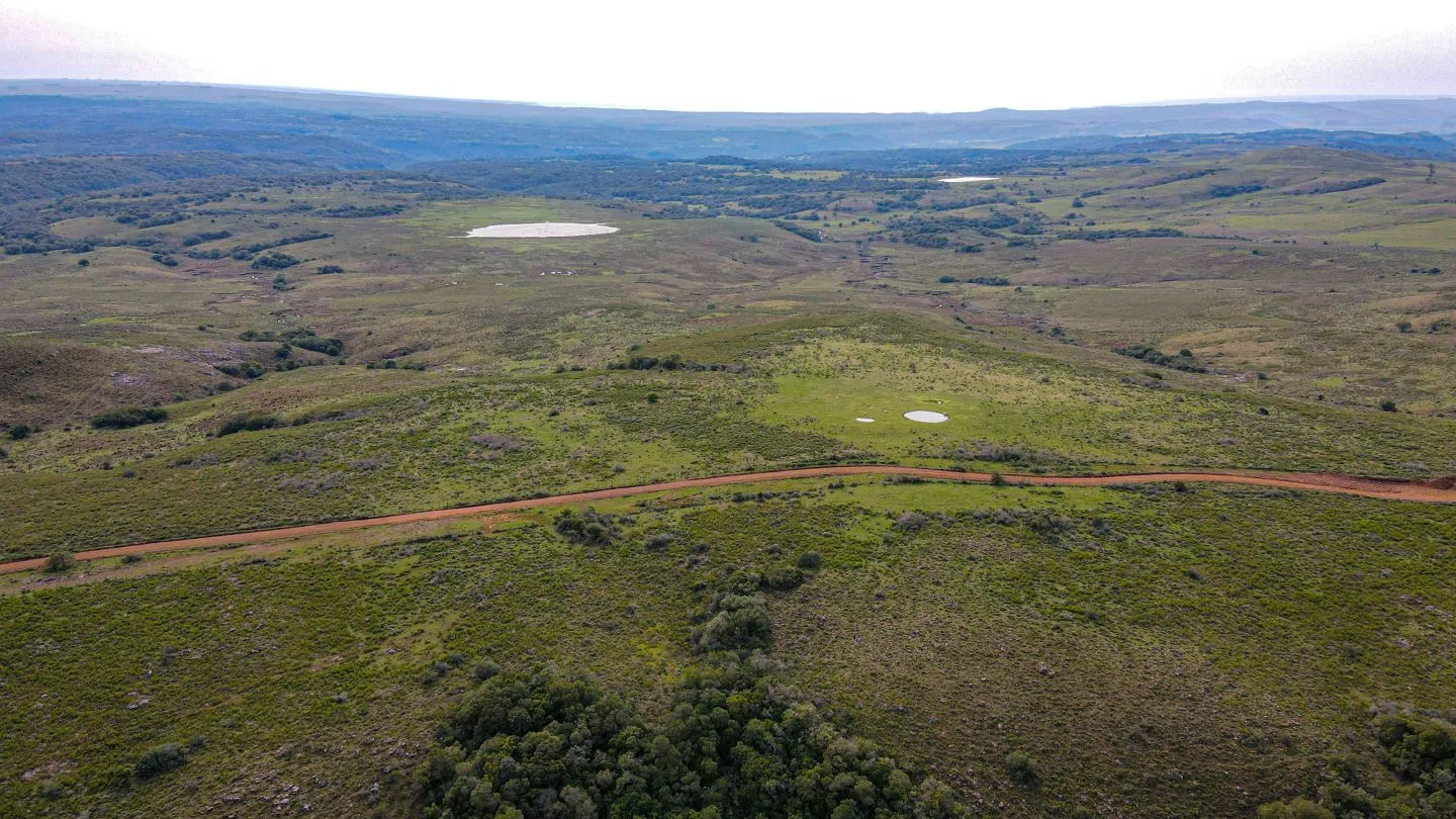Chacra / Campo 4.037 ha en Tacuarembó — foto 3