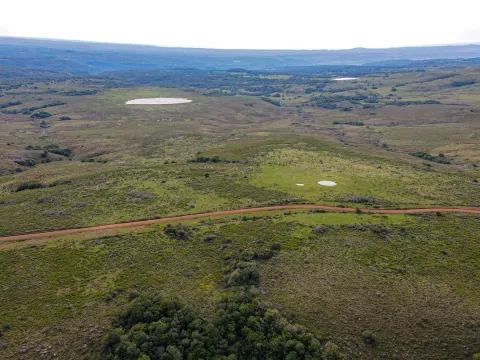 Chacra / Campo 4.037 ha en Tacuarembó — foto 3