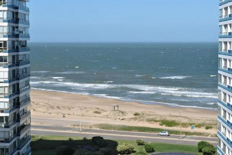 Venta apartamento 2 dormitorios - Playa Brava — foto 3