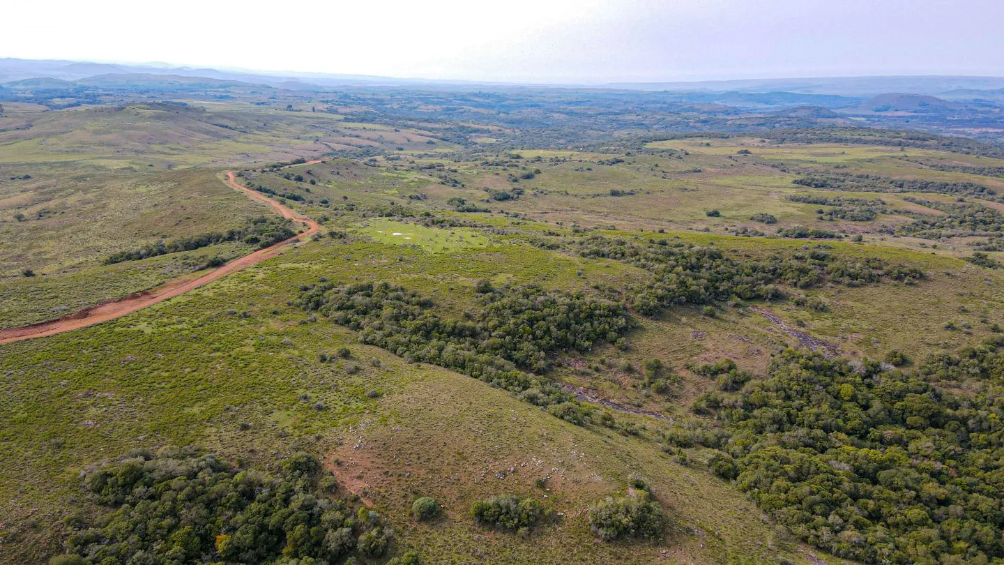 Chacra / Campo 4.037 ha en Tacuarembó — foto 4