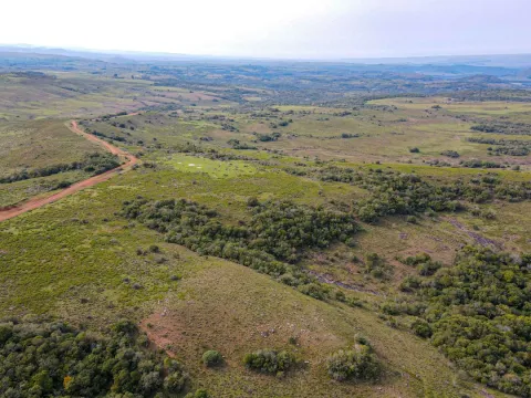 Chacra / Campo 4.037 ha en Tacuarembó — foto 4