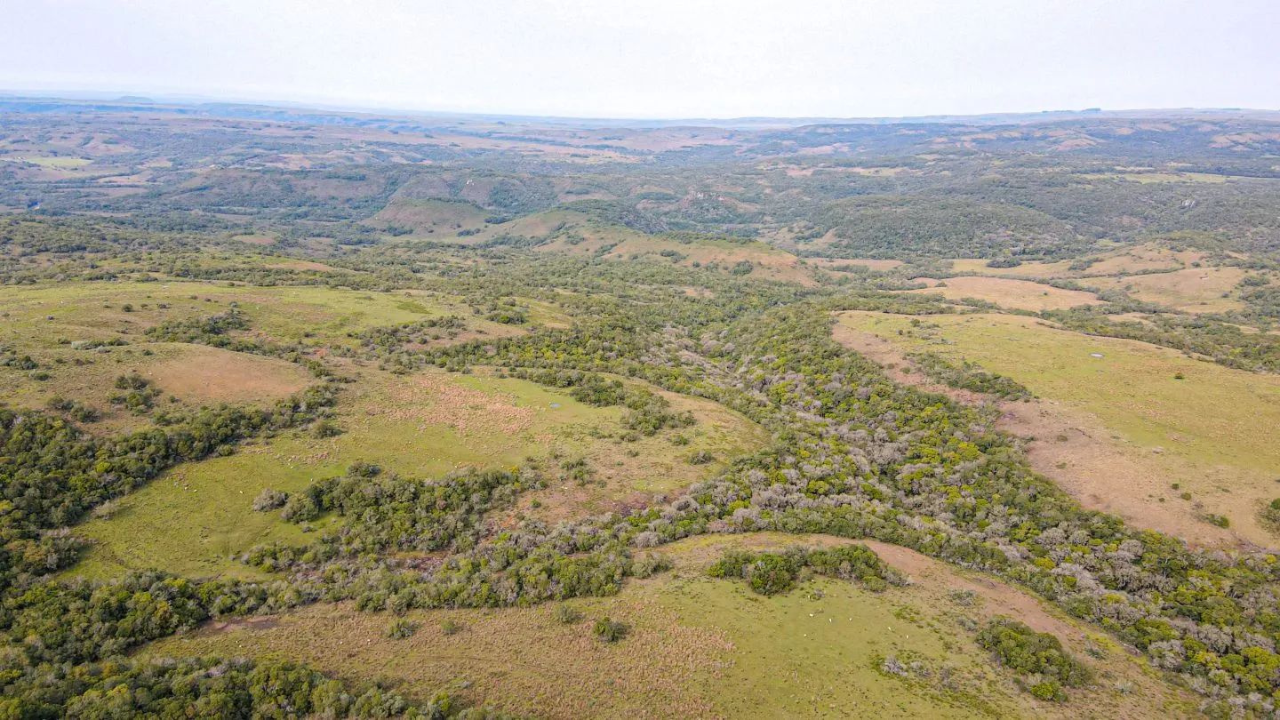 Chacra / Campo 4.037 ha en Tacuarembó — foto 5